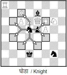 शतरंज के नियम हिंदी में
