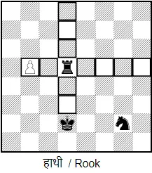 rook in chess in hindi